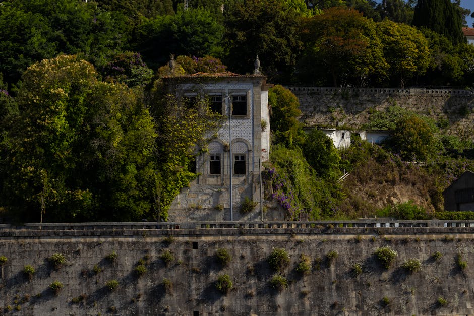 construir casa em portugal passo a passo 1