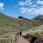 Remodelação e construção civil em Portugal: pavimentos madeira | Foto Pexels: Lorna Pauli